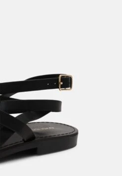 Sandalias De Dedo - Black -Havaianas Shop 39787455db474ce397ec5fcfd065a16f scaled