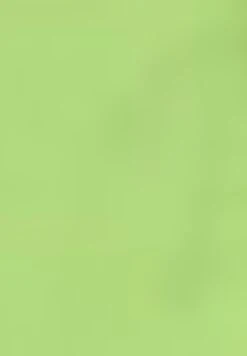 Gerry Weber Verkürzt- Shorts - Light Lime -Havaianas Shop 40d847f5a6aa4c5e97601e542073eaa4