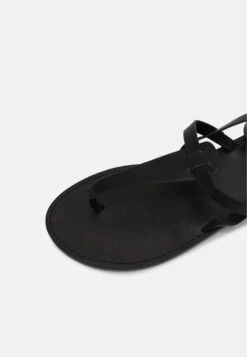 Sandalias De Dedo - Black -Havaianas Shop 646c851f5c0b405abaa60520ac98d83a scaled